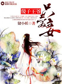 《傻子王爷只唉妾》