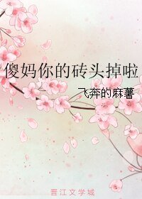 《傻妈你的砖头掉啦》