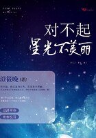 《对不起,星光不美丽》