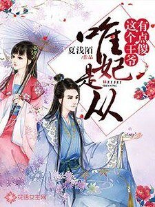 《唯妃是从:这个王爷有点傻》