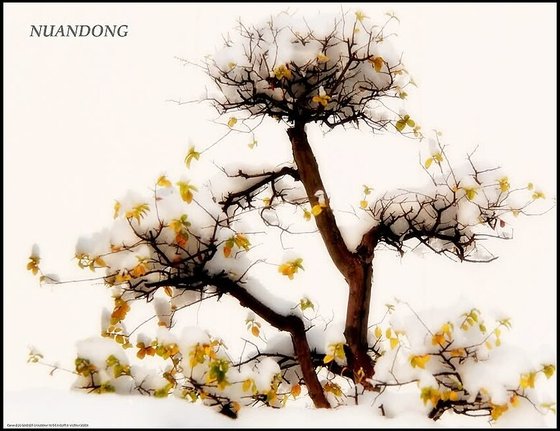 《中国风短篇(BL)集》