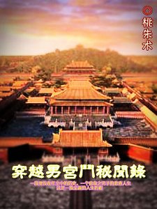 穿越男宫斗秘闻录