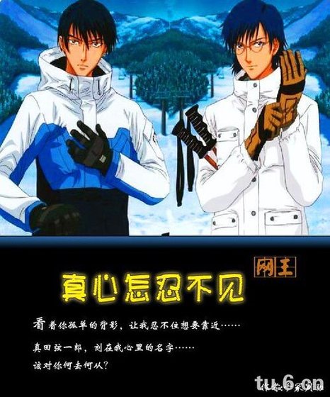 《(网王同人)真心怎忍不见忍真》
