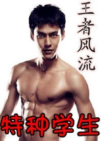 《特种学生:王者风流》
