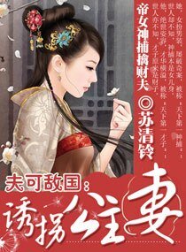 《夫可敌国:诱拐公主妻》