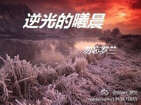 《逆光的曦晨》