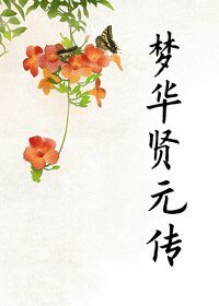 《梦华贤元传》