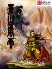 《苍山风云》