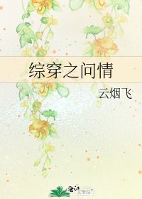《综穿之问情》