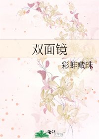 《双面镜》