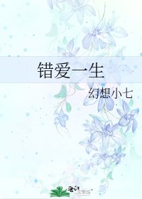 《错爱一生》