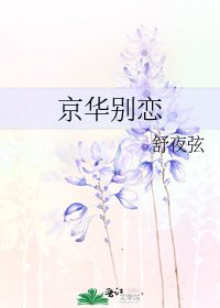 《京华别恋》
