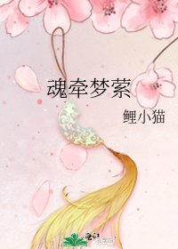 《魂牵梦萦》
