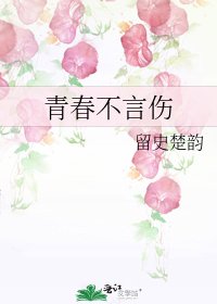 《青春不言伤》