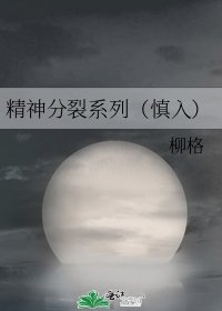 《精神分裂系列(慎入)》