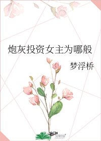 《炮灰投资女主为哪般》