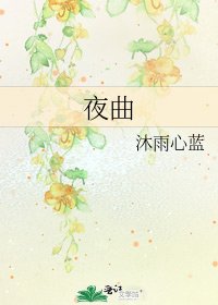 《夜曲》