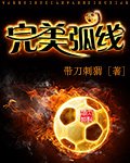 《完美弧线》