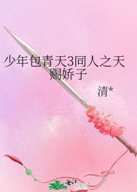 少年包青天3同人之天赐娇子