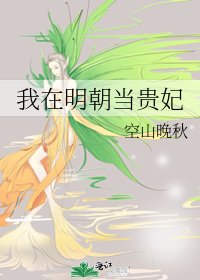 《我在明朝当贵妃》