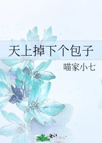 《天上掉下个包子》
