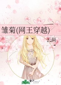 《雏菊(网王穿越)》