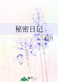 《秘密日记》