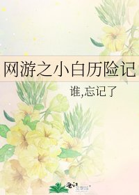 《网游之小白历险记》