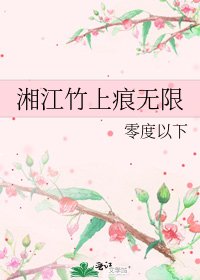 《湘江竹上痕无限》