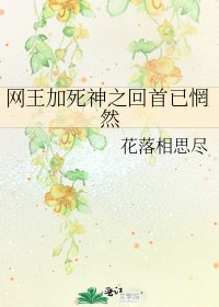 《网王加死神之回首已惘然》