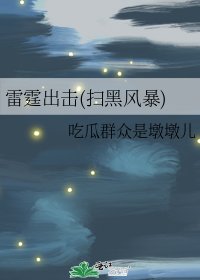 《雷霆出击(扫黑风暴)》