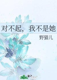 《对不起,我不是她》