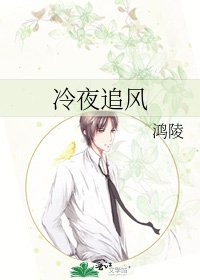 《冷夜追风》