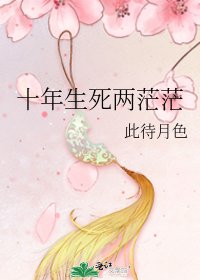 《十年生死两茫茫》