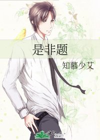 《是非题》