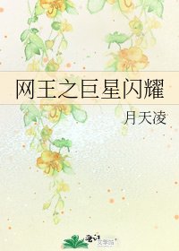 《网王之巨星闪耀》