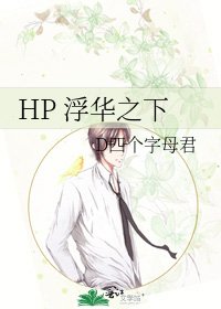 《HP 浮华之下》