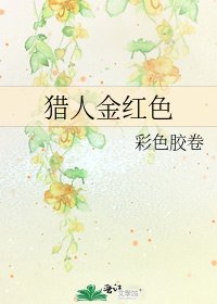 《猎人金红色》