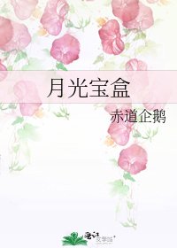《月光纽盒》