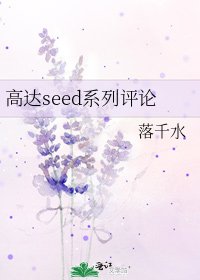 《高达seed系列评论》