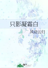 《只影凝霜白》