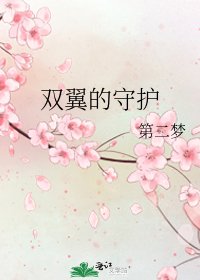 双翼的守护