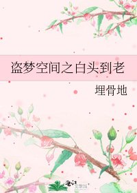 《盗梦空间之白头到老》