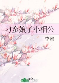 《刁蛮娘子小相公》