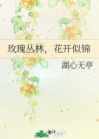 《玫瑰丛林,花开似锦》