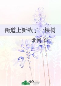 《街道上新栽了一棵树》