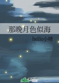 《那晚月色似海》
