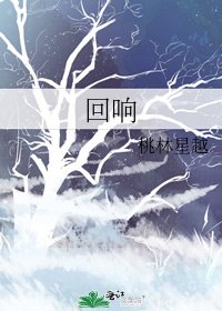 《回响》
