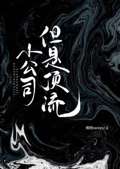 《小公司,但是顶流》