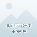 那年那月那日